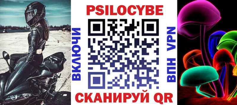 Купить закладки  Цивильск  Галлюциногенные грибы Psilocybe 